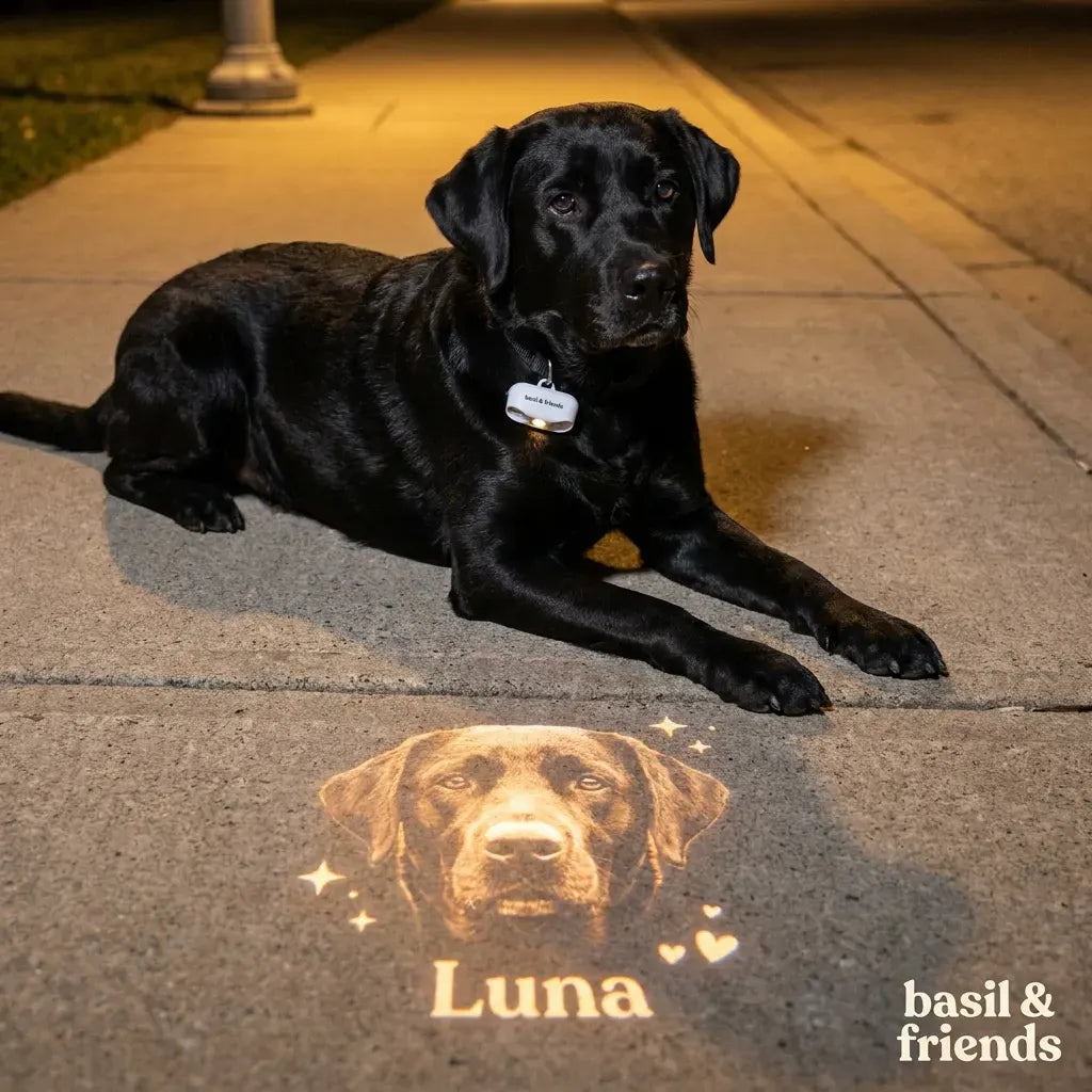 Custom Pet Projector Light