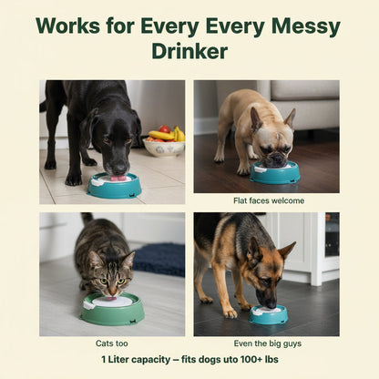 KIMPET Suspended Pet Bowl