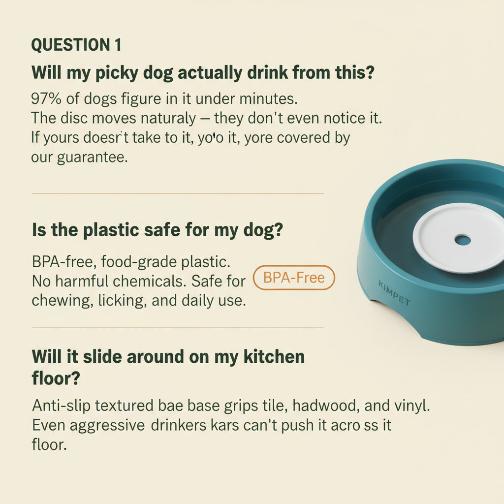 KIMPET Suspended Pet Bowl