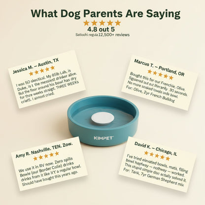 KIMPET Suspended Pet Bowl
