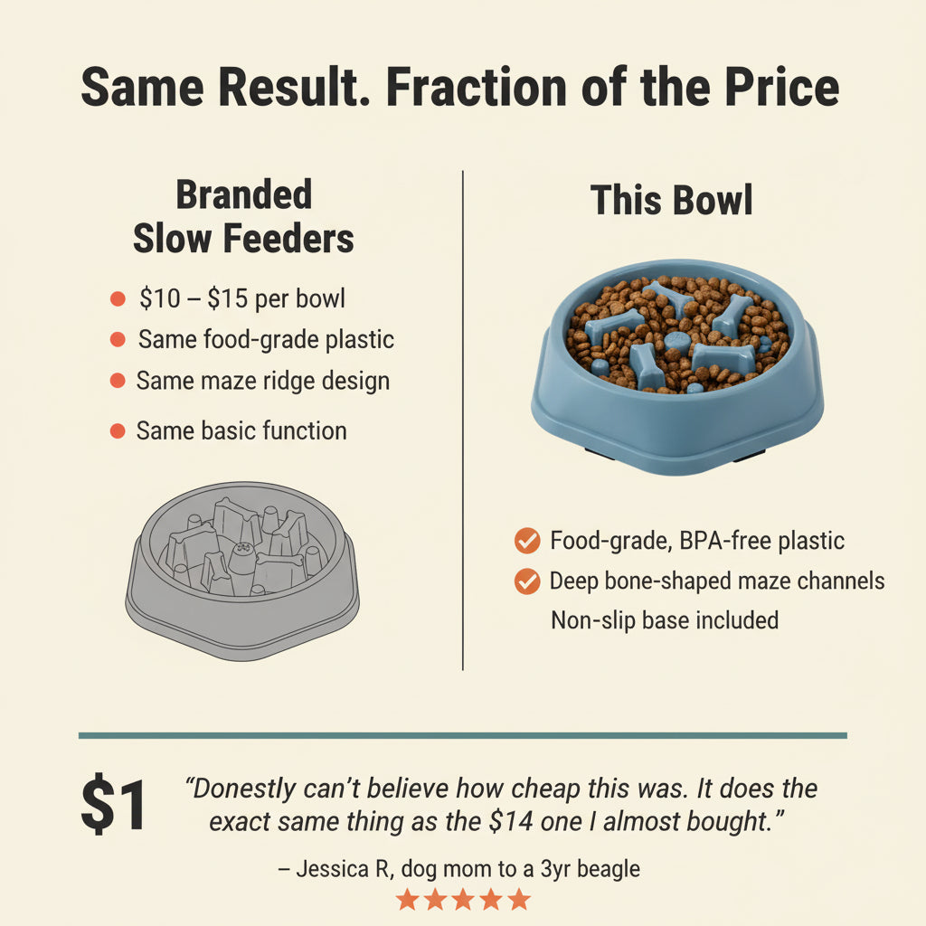 Pet Slow Food Bowl