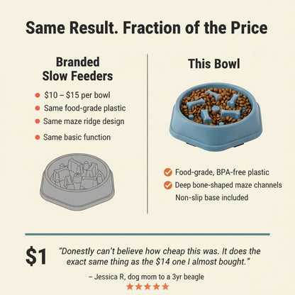 Pet Slow Food Bowl