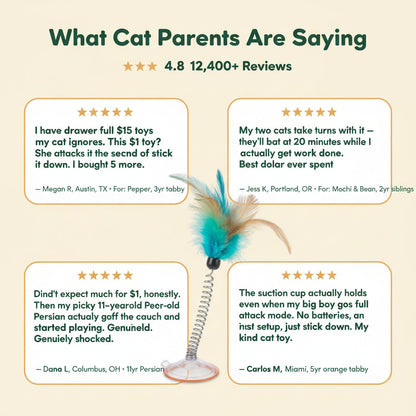 Cat Interactive Bird Toy