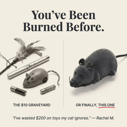 Remote Control Robot Mouse