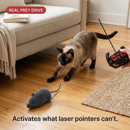 Remote Control Robot Mouse