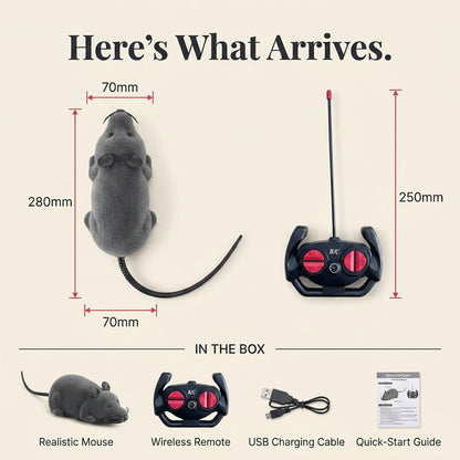 Remote Control Robot Mouse