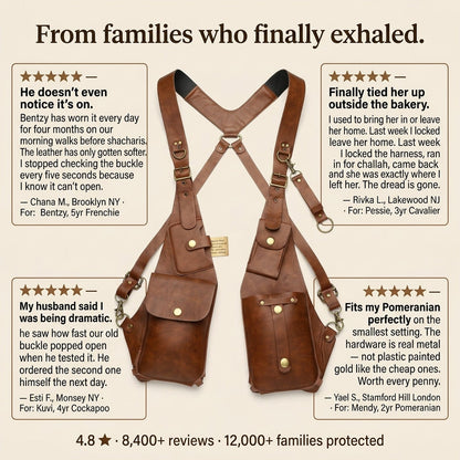 Ventra™ Anti-theft Harness