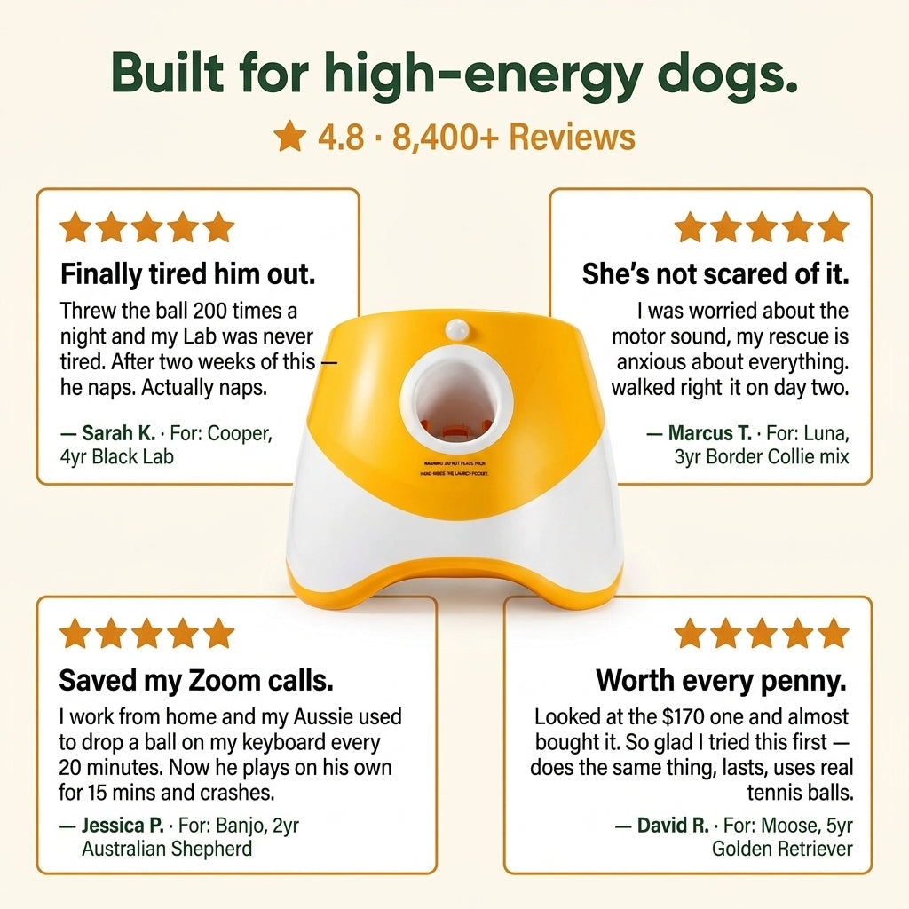 Automatic Dog Ball Launcher