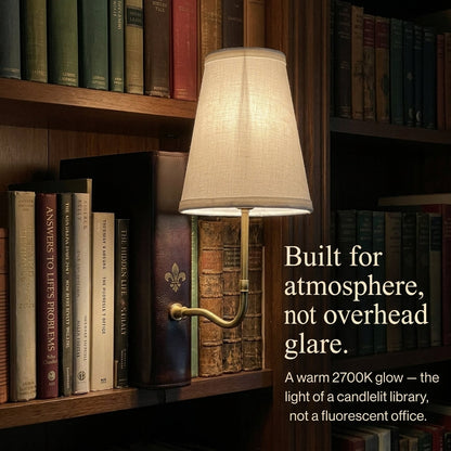 Luxurious Vintage Library Lamp
