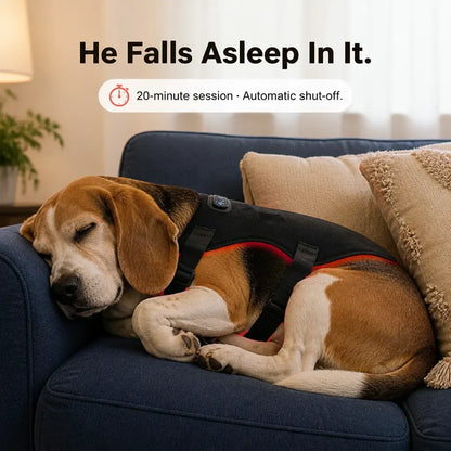 Redly - Red Light Therapy Vest for Pets