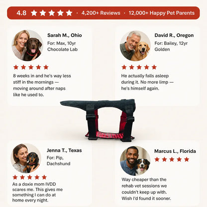 Redly - Red Light Therapy Vest for Pets