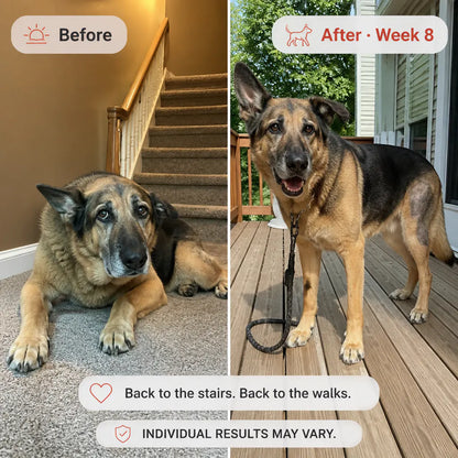 Redly - Red Light Therapy Vest for Pets