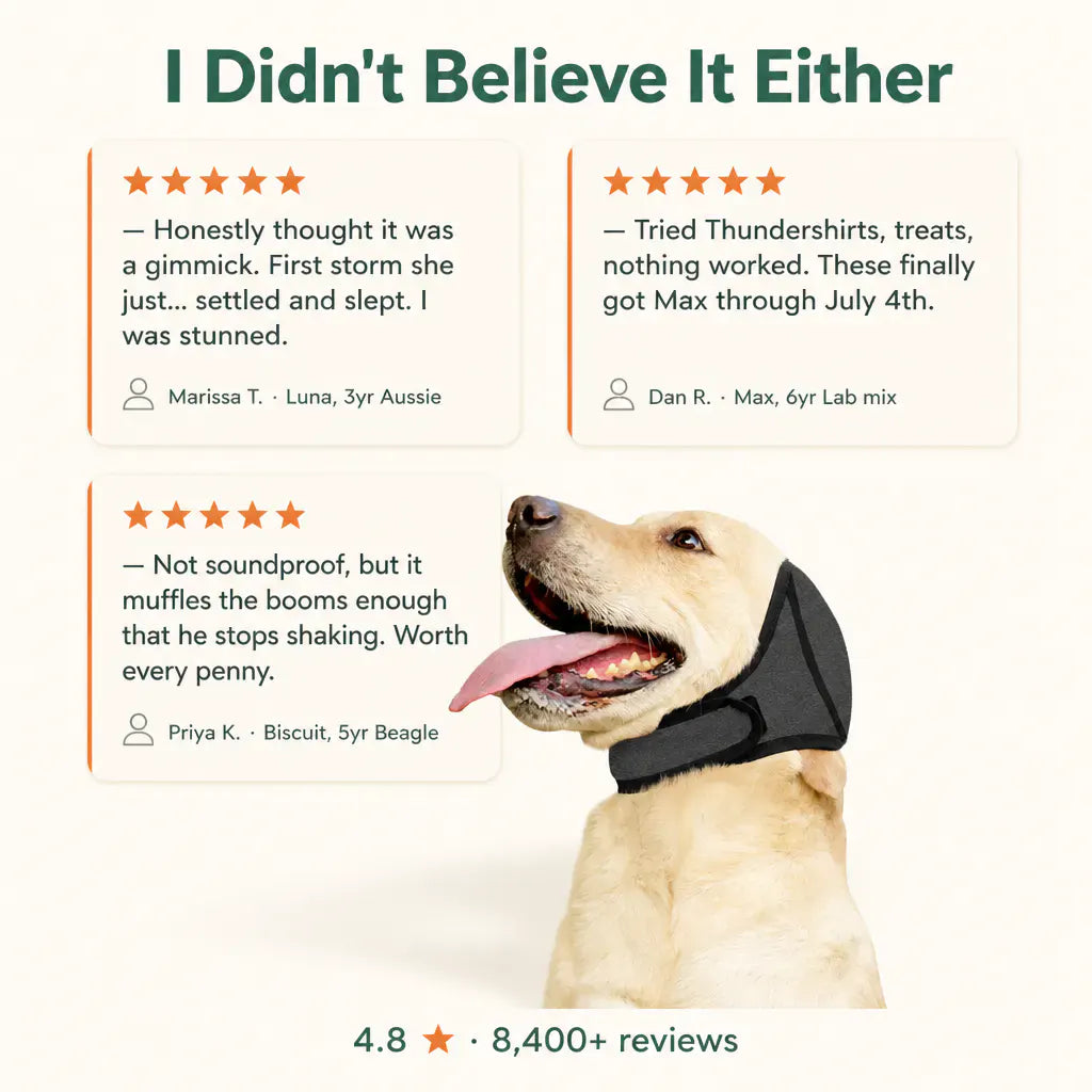 Premium Dog Cancelling Headphones