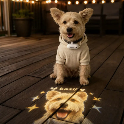 Custom Pet Projector Light